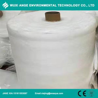 PFE95 fonn konen ki pa grenn twal